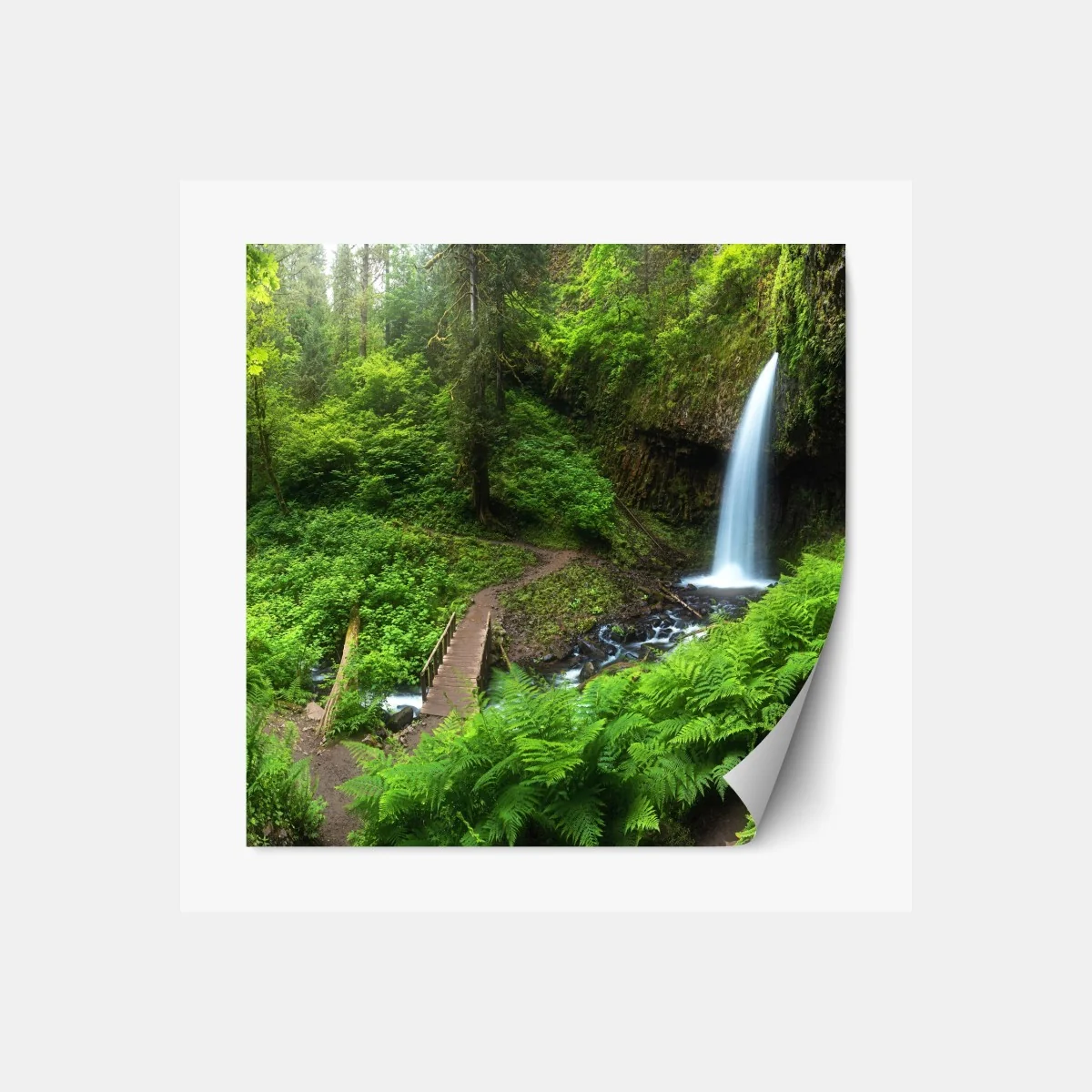 Naklejka repozycjonowalna bujny leśny wodospad panorama – Wallissimo® Naklejka repozycjonowalna bujny leśny wodospad panorama – Wallissimo®