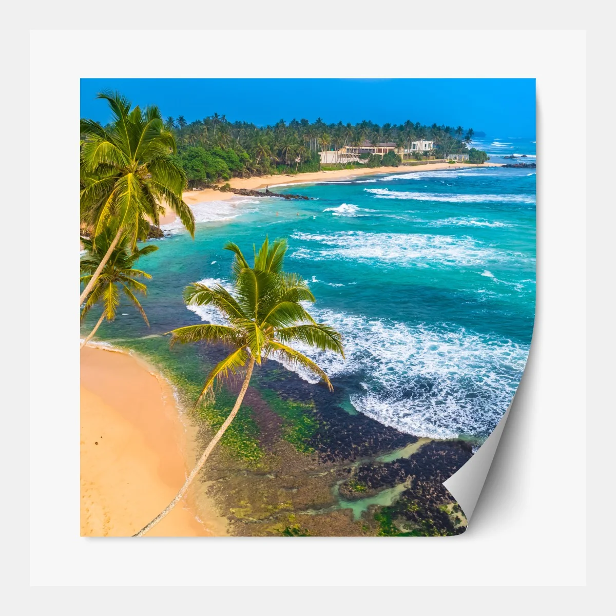 Naklejka repozycjonowalna turkusowe tropikalne wybrzeże z palmami – Wallissimo® Naklejka repozycjonowalna turkusowe tropikalne wybrzeże z palmami – Wallissimo®