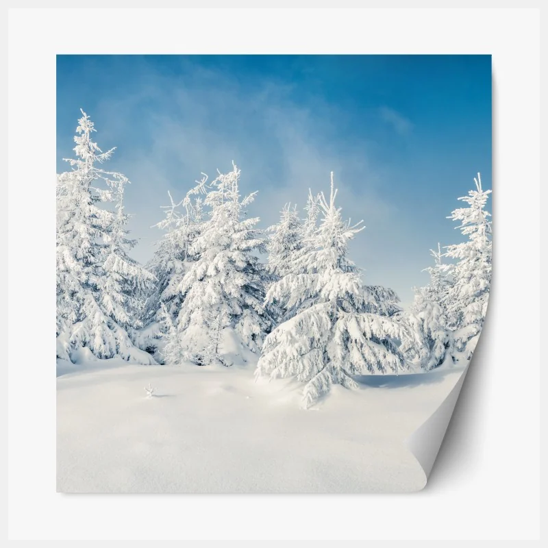 Naklejka repozycjonowalna widok z lotu ptaka na zatokę Port de Sóller – Wallissimo®