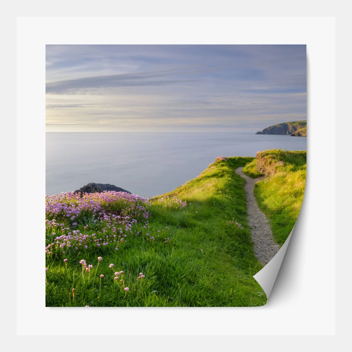 Naklejka repozycjonowalna zatoka Ceibwr ścieżka nadmorska o zmierzchu – Wallissimo® Naklejka repozycjonowalna zatoka Ceibwr ścieżka nadmorska o zmierzchu – Wallissimo®