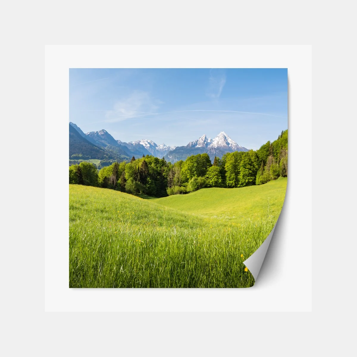 Naklejka repozycjonowalna spokojna alpejska łąka w panoramie – Wallissimo® Naklejka repozycjonowalna spokojna alpejska łąka w panoramie – Wallissimo®