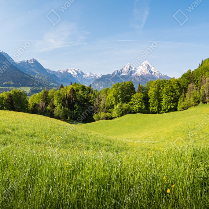 Naklejka repozycjonowalna spokojna alpejska łąka w panoramie – Wallissimo® Naklejka repozycjonowalna spokojna alpejska łąka w panoramie – Wallissimo®