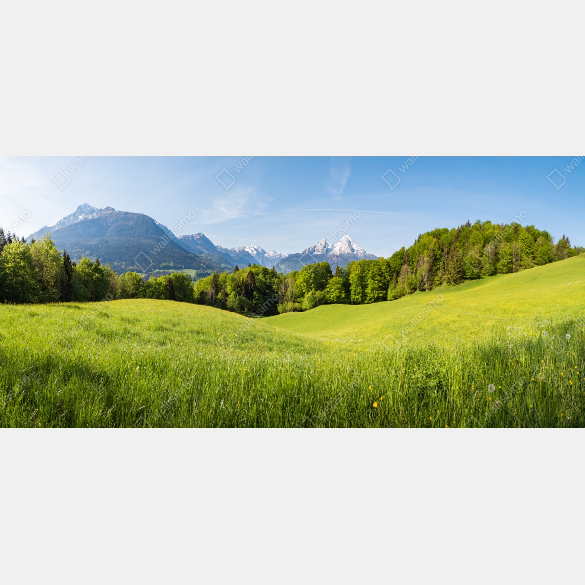 Naklejka repozycjonowalna spokojna alpejska łąka w panoramie – Wallissimo® Naklejka repozycjonowalna spokojna alpejska łąka w panoramie – Wallissimo®