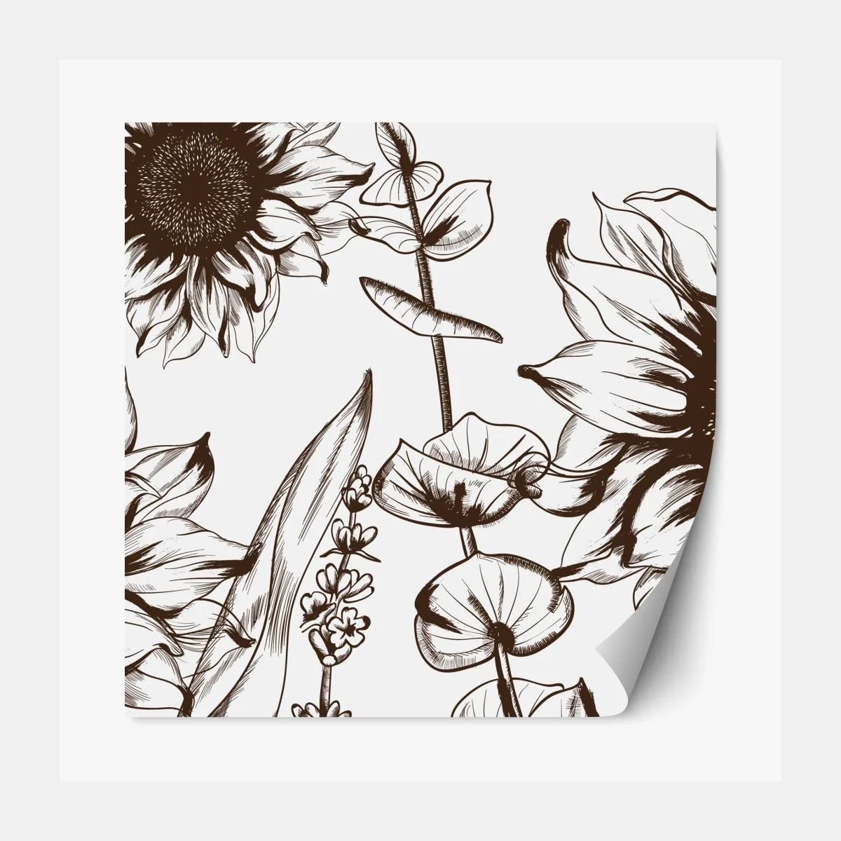 Naklejka repozycjonowalna ilustracja botaniczna słonecznik w sepii – Wallissimo® Naklejka repozycjonowalna ilustracja botaniczna słonecznik w sepii – Wallissimo®