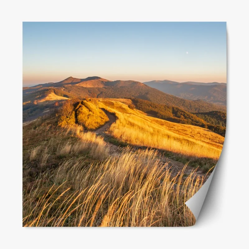 Naklejka repozycjonowalna unoszące się pęcherzyki oleju na głębokim gradiencie – Wallissimo®