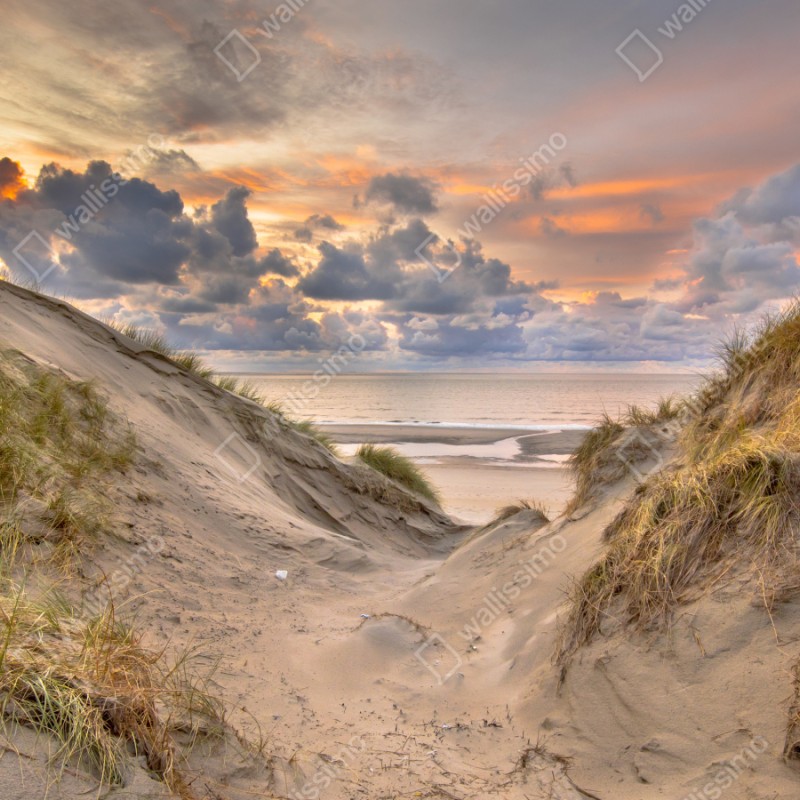 Naklejka repozycjonowalna zachód słońca nad wydmami – Wallissimo® Naklejka repozycjonowalna zachód słońca nad wydmami – Wallissimo®