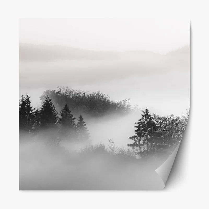 Naklejka repozycjonowalna mglisty las w odcieniach szarości