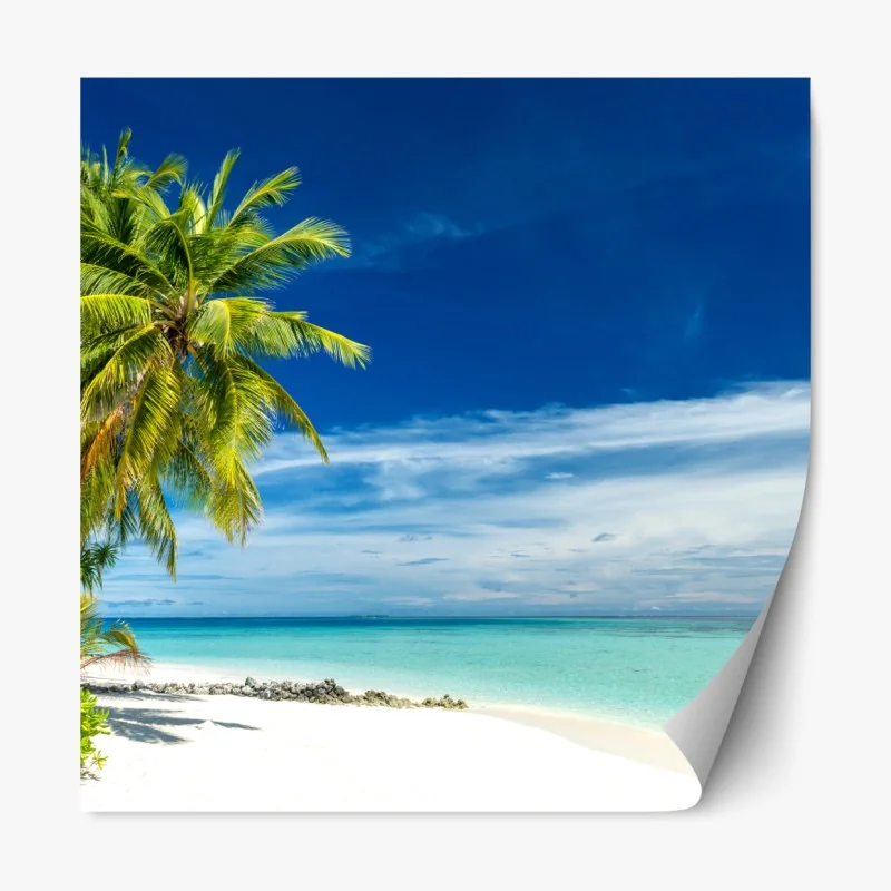 Naklejka repozycjonowalna zimowa mgła nad lasem iglastym – Wallissimo®