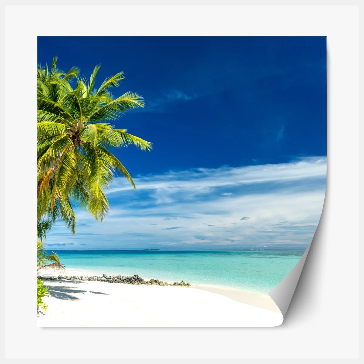 Naklejka repozycjonowalna tropikalna turkusowa plaża – Wallissimo® Naklejka repozycjonowalna tropikalna turkusowa plaża – Wallissimo®