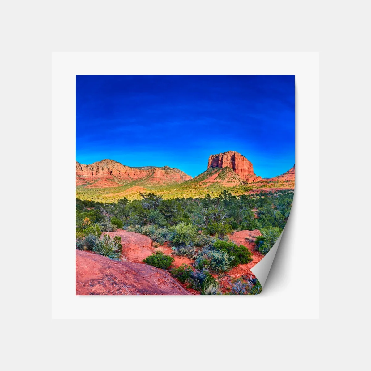 Naklejka repozycjonowalna panoramiczny widok na Bell Rock i Courthouse Butte, Sedona – Wallissimo® Naklejka repozycjonowalna panoramiczny widok na Bell Rock i Courthouse Butte, Sedona – Wallissimo®