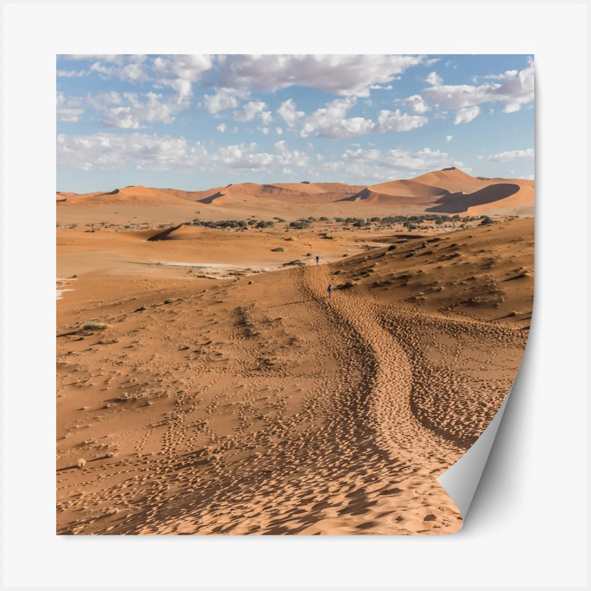 Naklejka repozycjonowalna bezgraniczne wydmy pustyni pod błękitnym niebem – Wallissimo® Naklejka repozycjonowalna bezgraniczne wydmy pustyni pod błękitnym niebem – Wallissimo®