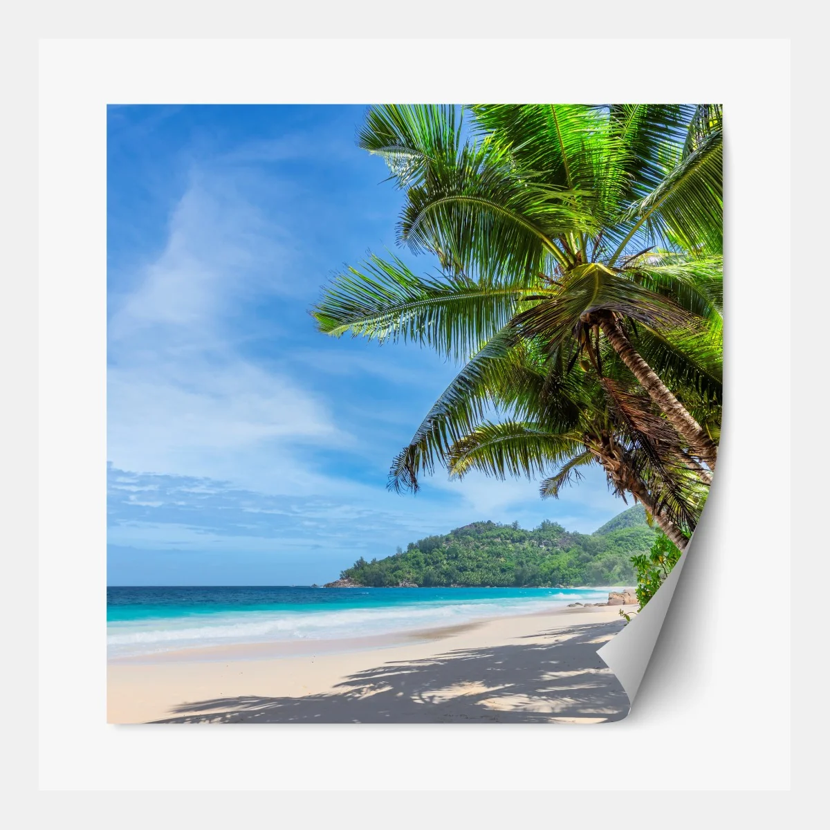 Naklejka repozycjonowalna tropikalna plaża z palmami i żaglówką – Wallissimo® Naklejka repozycjonowalna tropikalna plaża z palmami i żaglówką – Wallissimo®