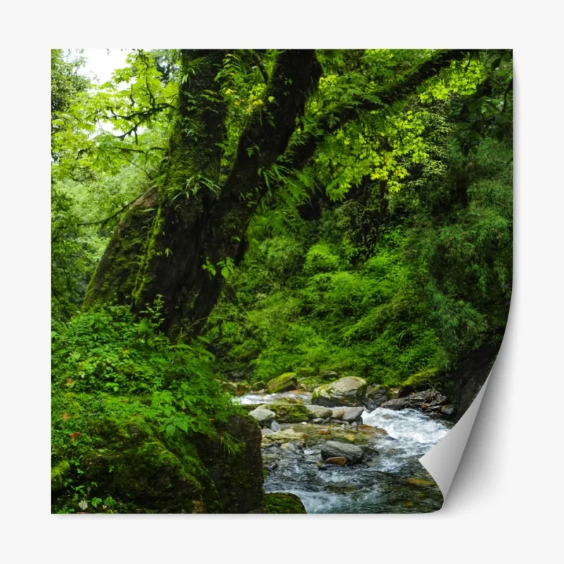 Naklejka repozycjonowalna Szanghaj panorama miasta o zachodzie słońca – Wallissimo®