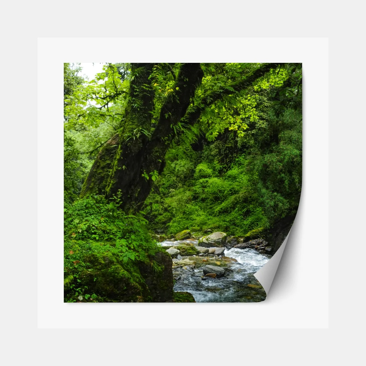 Naklejka repozycjonowalna bujny zielony wodospad w lesie – Wallissimo® Naklejka repozycjonowalna bujny zielony wodospad w lesie – Wallissimo®