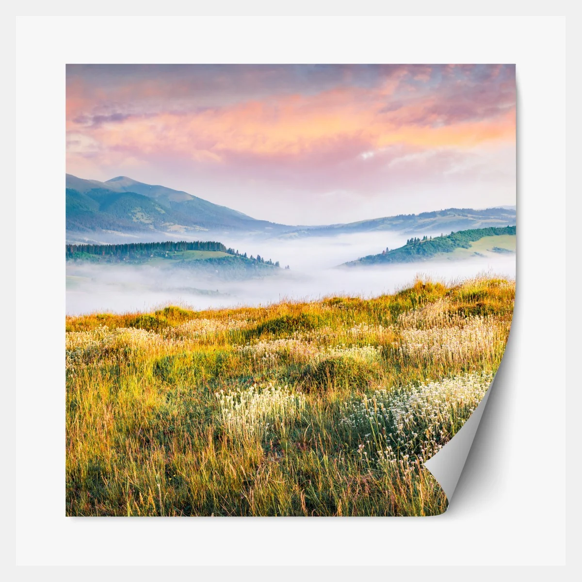 Naklejka repozycjonowalna mglisty poranek w Borżawie – Wallissimo® Naklejka repozycjonowalna mglisty poranek w Borżawie – Wallissimo®