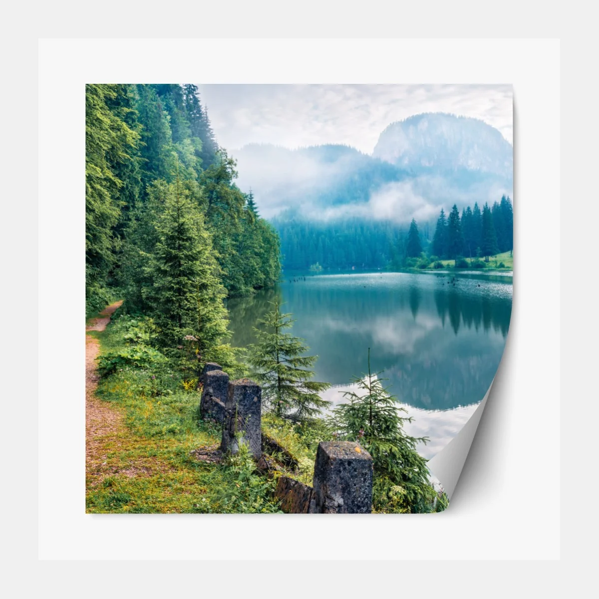 Naklejka repozycjonowalna mglisty poranek nad Lacu Rosu – Wallissimo® Naklejka repozycjonowalna mglisty poranek nad Lacu Rosu – Wallissimo®