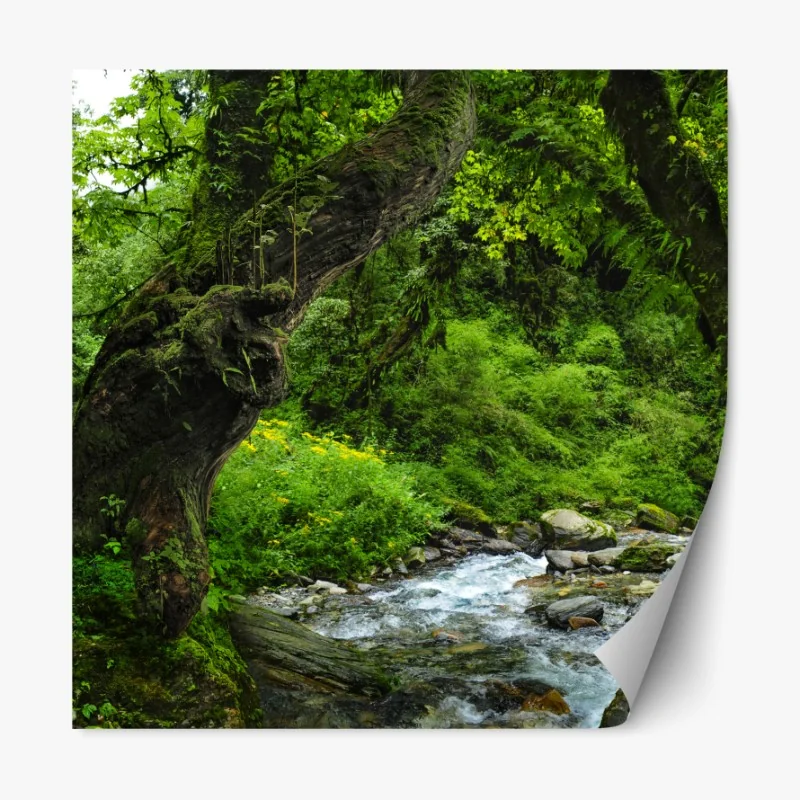 Naklejka repozycjonowalna mglisty las w odcieniach szarości – Wallissimo®