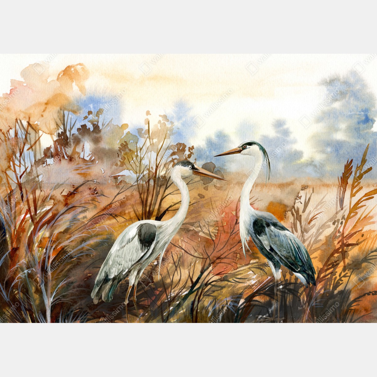 Naklejka repozycjonowalna dwie czaple na jesiennym mokradle – Wallissimo® Naklejka repozycjonowalna dwie czaple na jesiennym mokradle – Wallissimo®