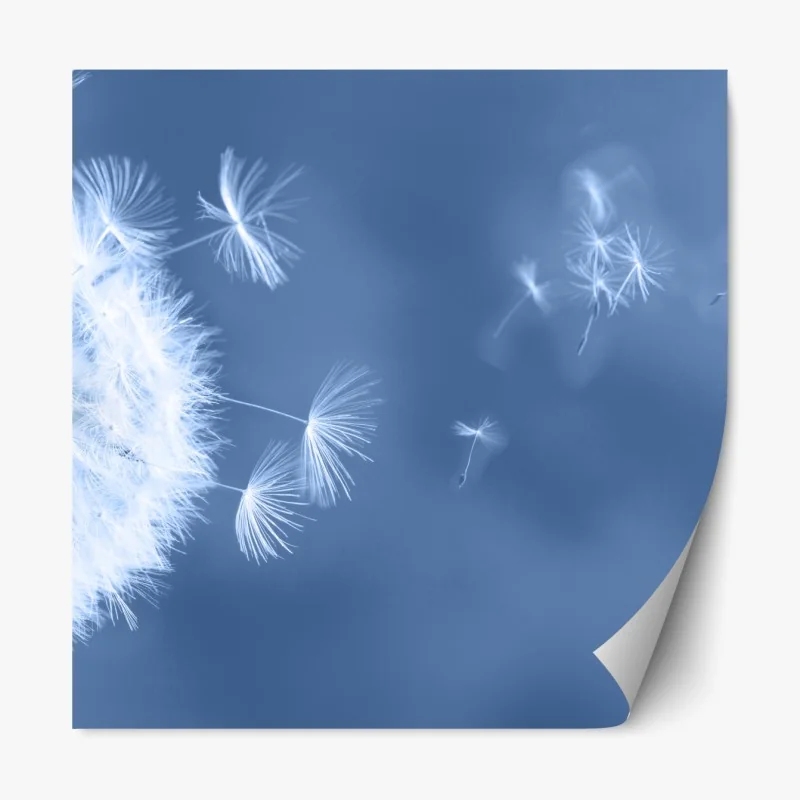 Naklejka repozycjonowalna zebra w monochromatycznych paskach – Wallissimo®