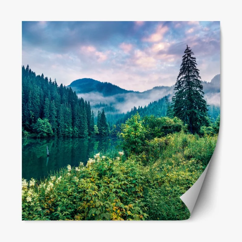 Naklejka repozycjonowalna słoneczna łąka o zachodzie słońca – Wallissimo®