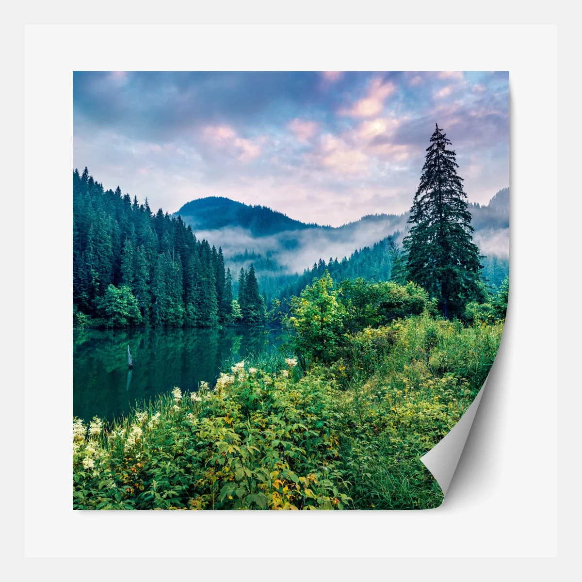 Naklejka repozycjonowalna mglisty wschód słońca nad Lacu Rosu – Wallissimo® Naklejka repozycjonowalna mglisty wschód słońca nad Lacu Rosu – Wallissimo®