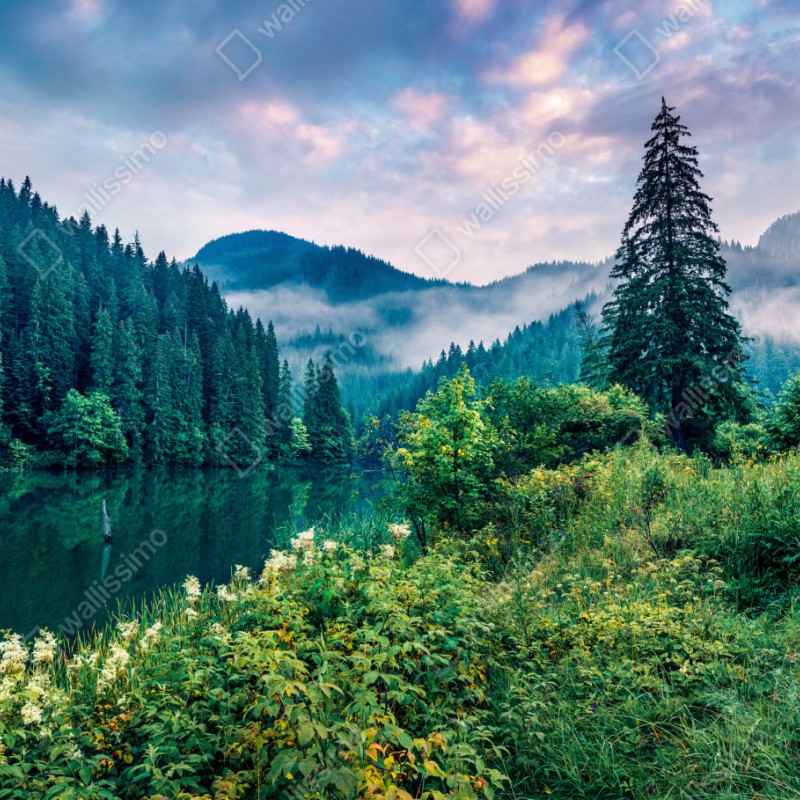 Naklejka repozycjonowalna mglisty wschód słońca nad Lacu Rosu – Wallissimo® Naklejka repozycjonowalna mglisty wschód słońca nad Lacu Rosu – Wallissimo®