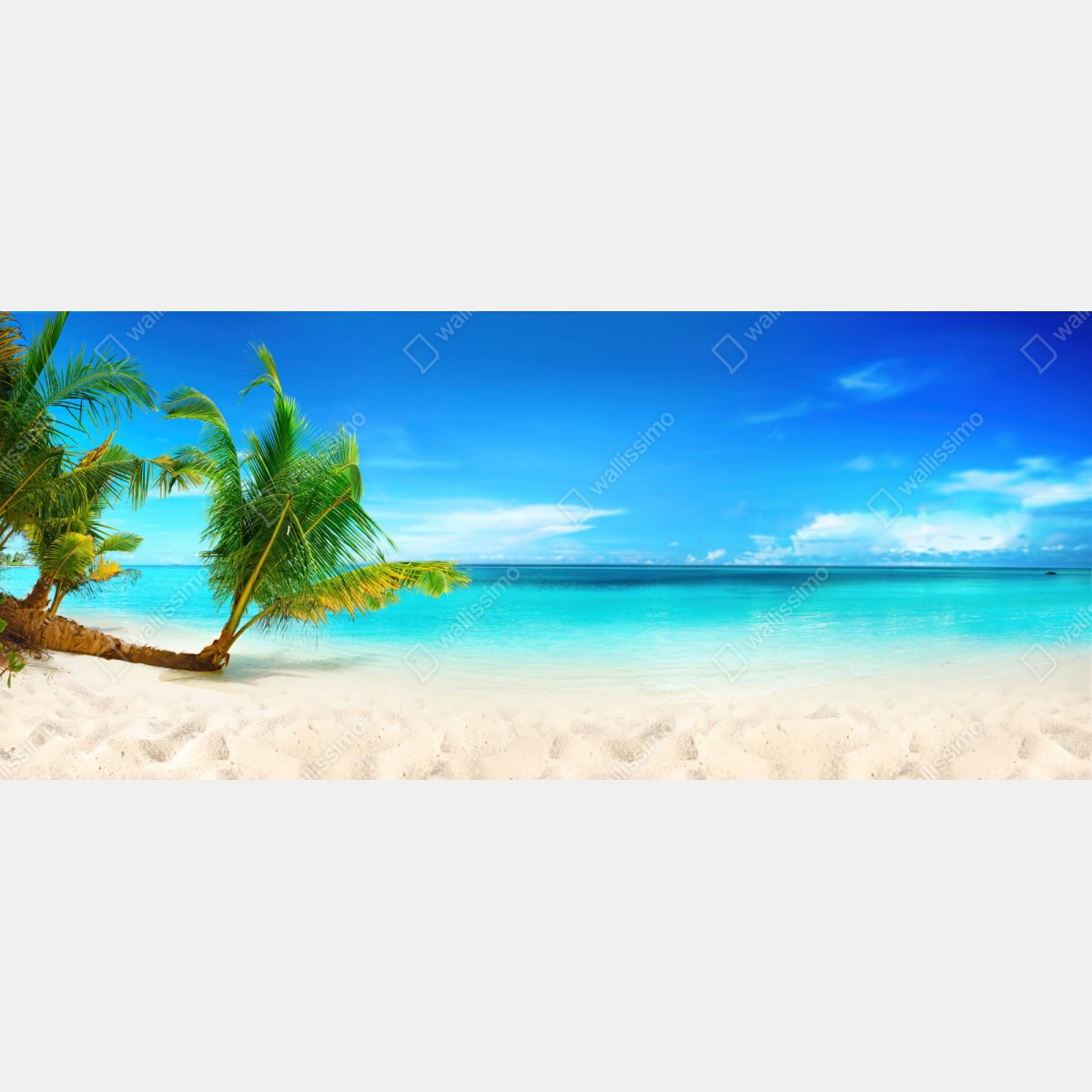 Naklejka repozycjonowalna Malediwy turkusowa plaża panorama – Wallissimo® Naklejka repozycjonowalna Malediwy turkusowa plaża panorama – Wallissimo®