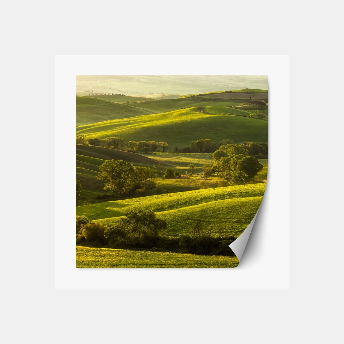 Naklejka repozycjonowalna słoneczne zielone pagórki – Wallissimo® Naklejka repozycjonowalna słoneczne zielone pagórki – Wallissimo®