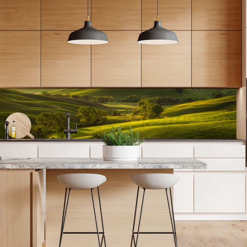 Naklejka repozycjonowalna czerwono-białe tulipany na czarnym tle – Wallissimo®