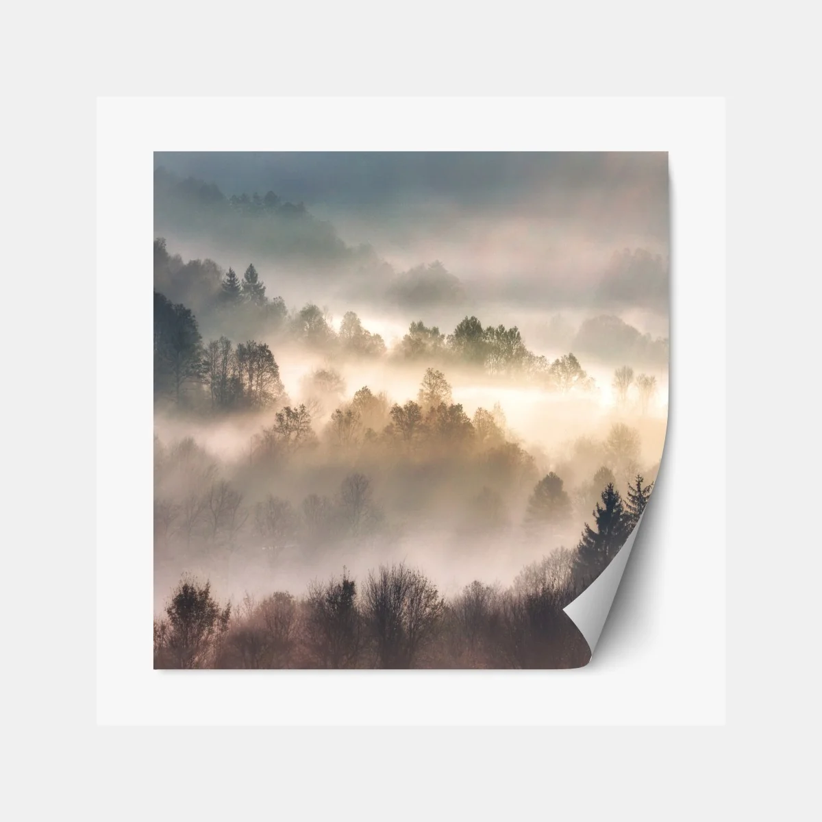 Naklejka repozycjonowalna mglisty las o świcie – Wallissimo® Naklejka repozycjonowalna mglisty las o świcie – Wallissimo®