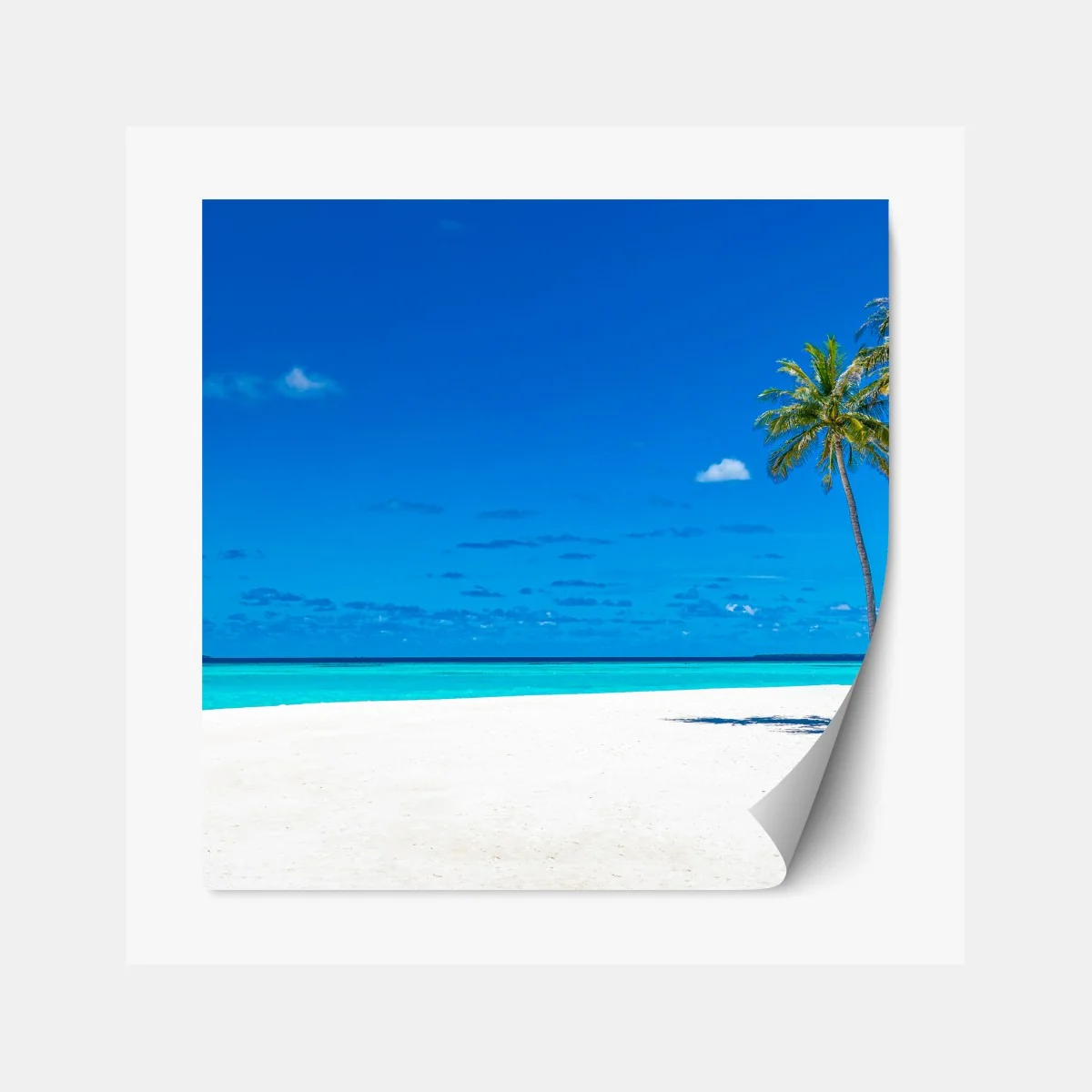 Naklejka repozycjonowalna tropikalna turkusowa plaża – Wallissimo® Naklejka repozycjonowalna tropikalna turkusowa plaża – Wallissimo®