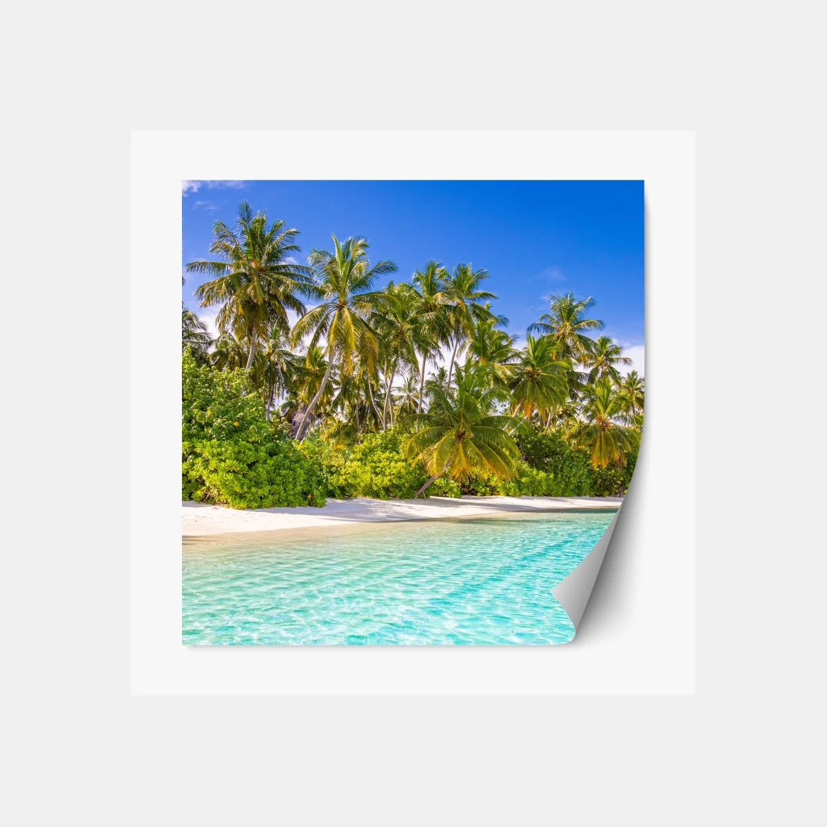 Naklejka repozycjonowalna tropikalna plaża z palmami – Wallissimo® Naklejka repozycjonowalna tropikalna plaża z palmami – Wallissimo®