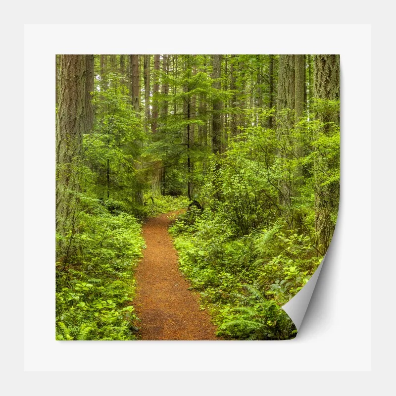 Naklejka repozycjonowalna tropikalny wzór botaniczny z tukanem – Wallissimo®