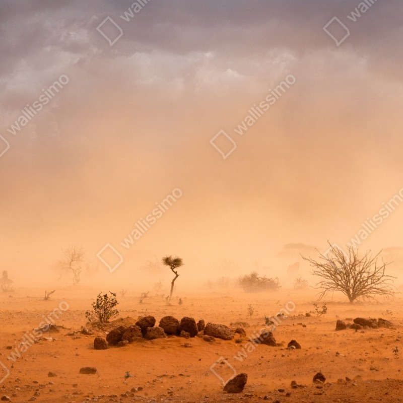 Naklejka repozycjonowalna burza piaskowa nad Dollo Ado, Etiopia – Wallissimo® Naklejka repozycjonowalna burza piaskowa nad Dollo Ado, Etiopia – Wallissimo®