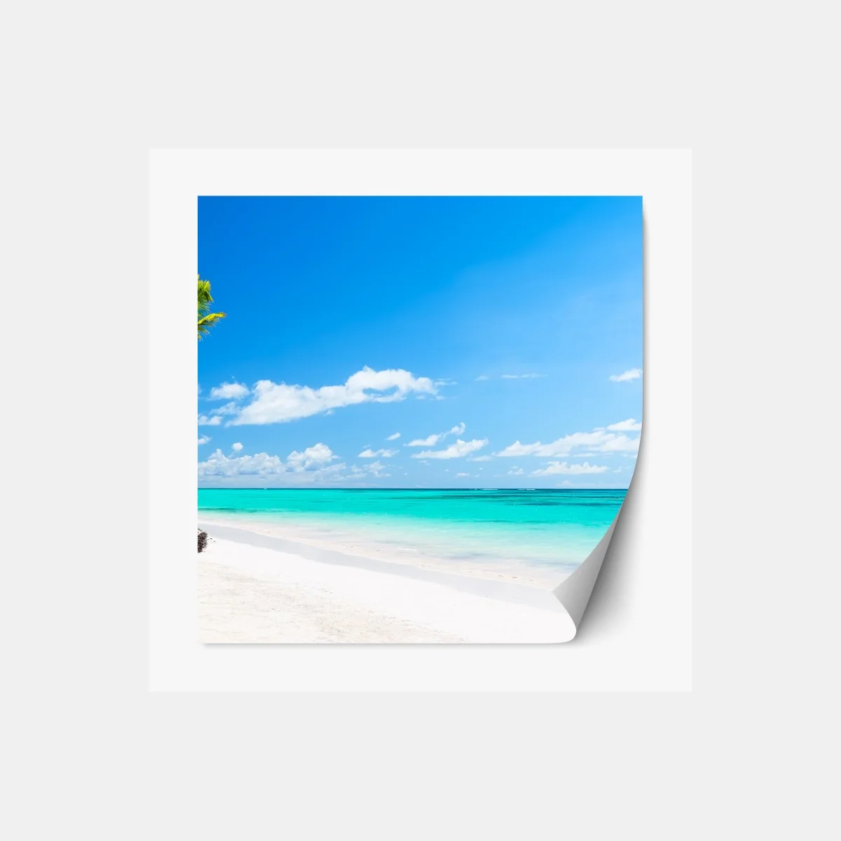 Naklejka repozycjonowalna panorama tropikalnej plaży w Punta Cana – Wallissimo® Naklejka repozycjonowalna panorama tropikalnej plaży w Punta Cana – Wallissimo®