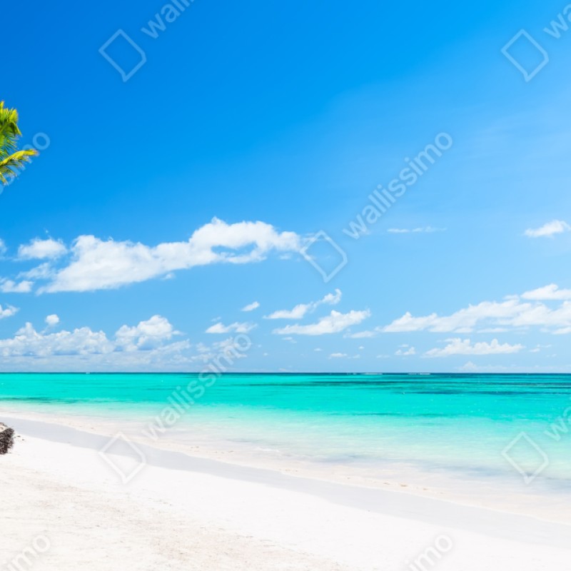 Naklejka repozycjonowalna panorama tropikalnej plaży w Punta Cana – Wallissimo® Naklejka repozycjonowalna panorama tropikalnej plaży w Punta Cana – Wallissimo®