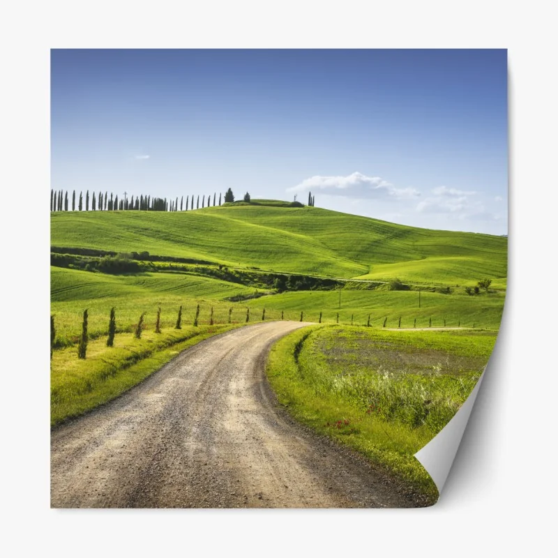 Naklejka repozycjonowalna złoty liść monstera na białym tle – Wallissimo®