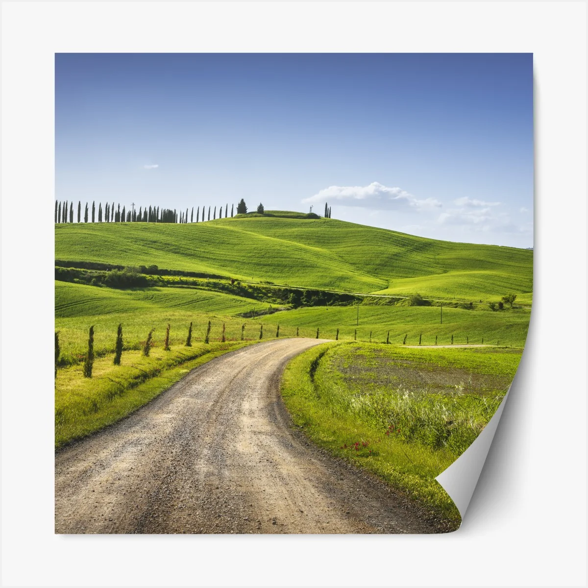 Naklejka repozycjonowalna wiejska droga w Toskanii przez zielone wzgórza – Wallissimo® Naklejka repozycjonowalna wiejska droga w Toskanii przez zielone wzgórza – Wallissimo®