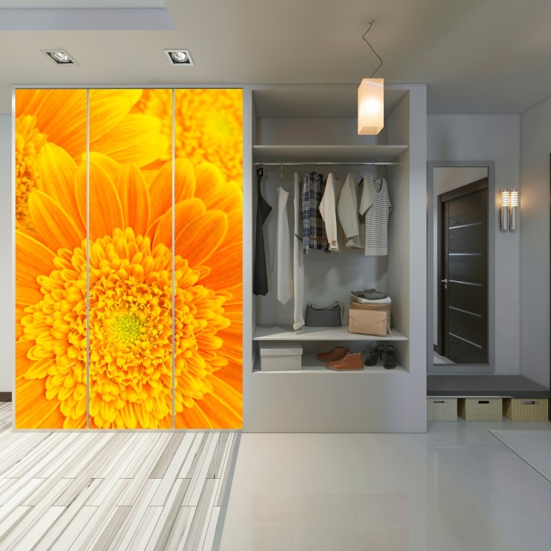 Naklejka na szafę intensywny pomarańczowy kwiat gerbery z bliska – Wallissimo® Naklejka na szafę intensywny pomarańczowy kwiat gerbery z bliska – Wallissimo®
