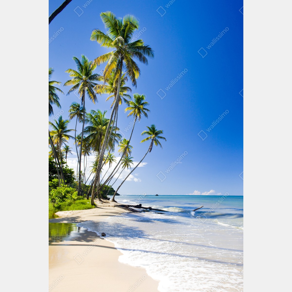 Naklejka na szafę tropikalna plaża z palmami pod błękitnym niebem – Wallissimo® Naklejka na szafę tropikalna plaża z palmami pod błękitnym niebem – Wallissimo®