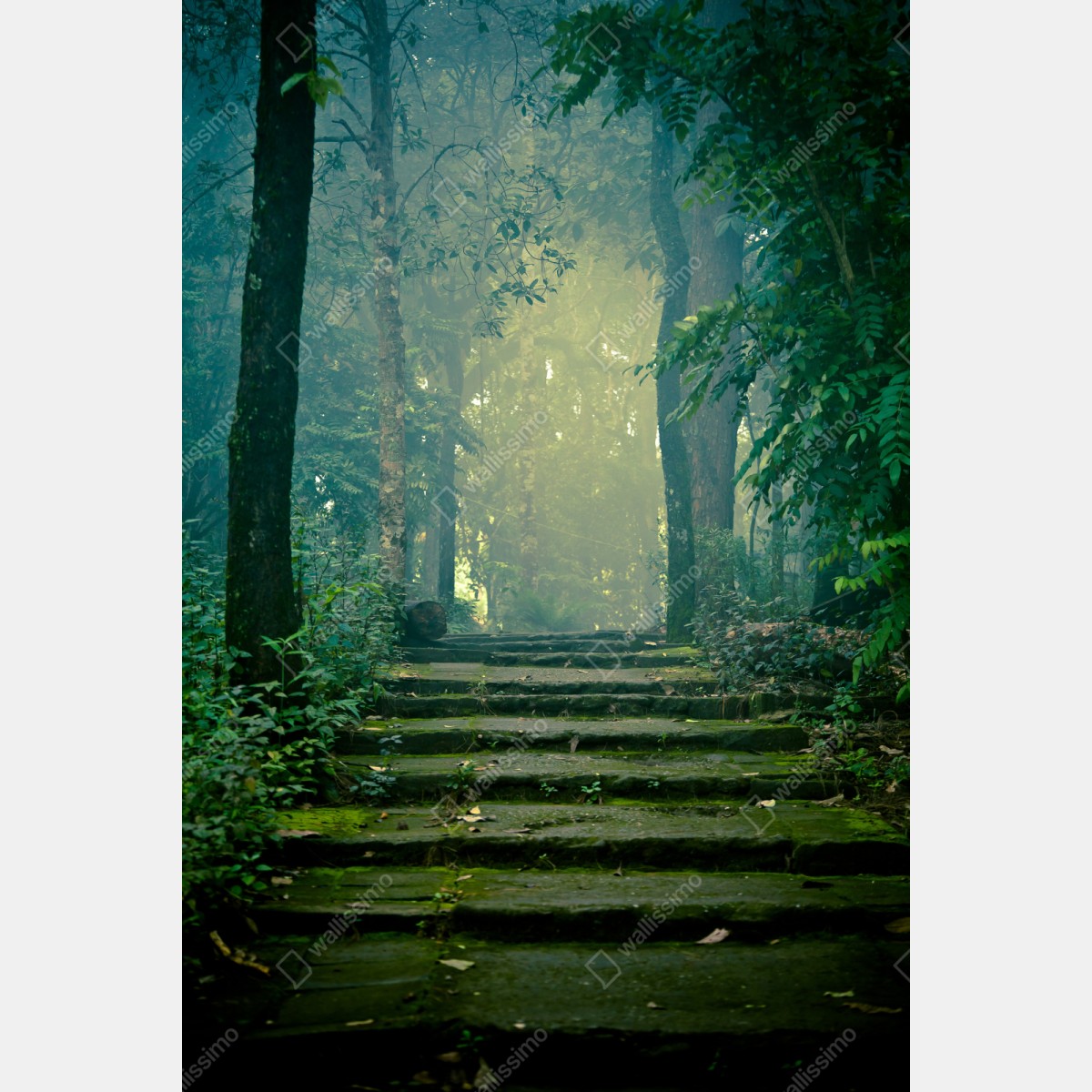 Naklejka na szafę mchowe kamienne schody do mglistego lasu – Wallissimo® Naklejka na szafę mchowe kamienne schody do mglistego lasu – Wallissimo®