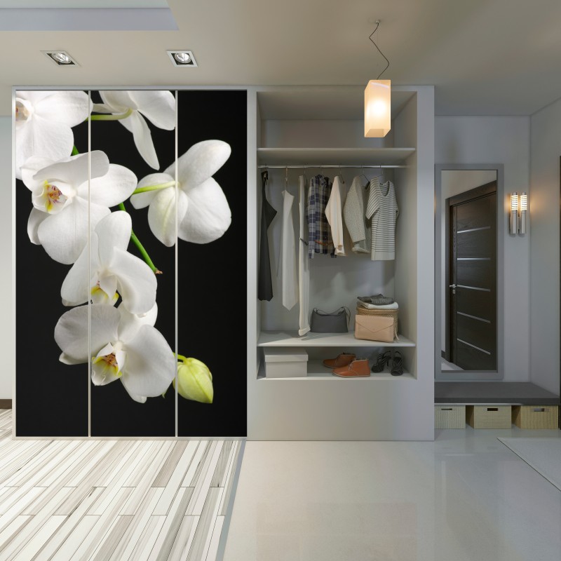 Naklejka na szafę biała gałązka orchidei na czarnym tle – Wallissimo® Naklejka na szafę biała gałązka orchidei na czarnym tle – Wallissimo®