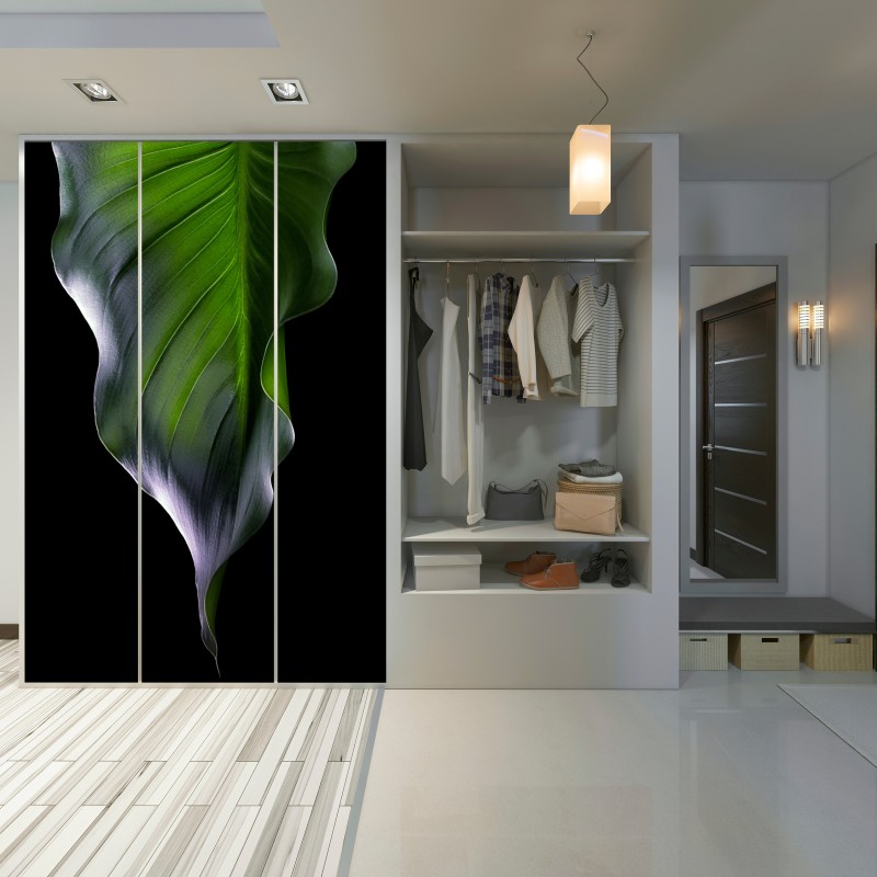 Naklejka na szafę elegancki zielony liść na czarnym tle – Wallissimo® Naklejka na szafę elegancki zielony liść na czarnym tle – Wallissimo®