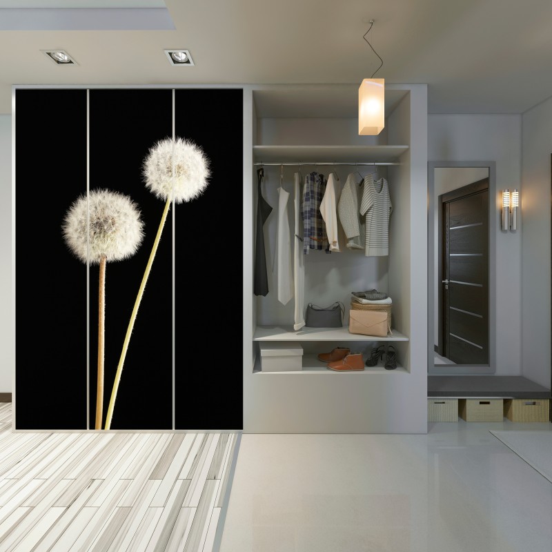 Naklejka na szafę delikatne dmuchawce na czarnym tle – Wallissimo® Naklejka na szafę delikatne dmuchawce na czarnym tle – Wallissimo®