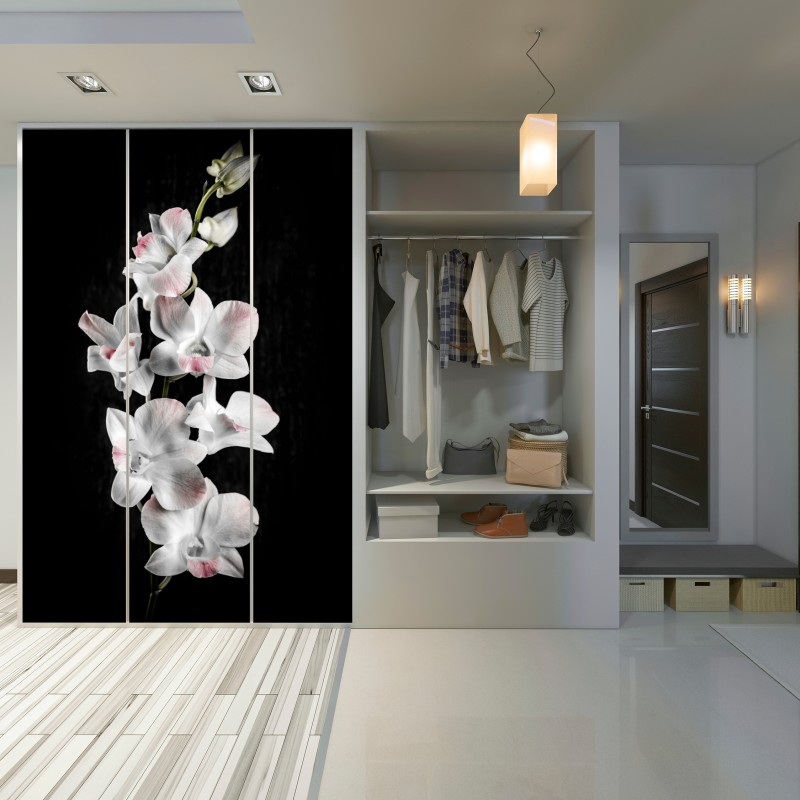 Naklejka na szafę biały i różowy storczyk na czarnym tle – Wallissimo® Naklejka na szafę biały i różowy storczyk na czarnym tle – Wallissimo®