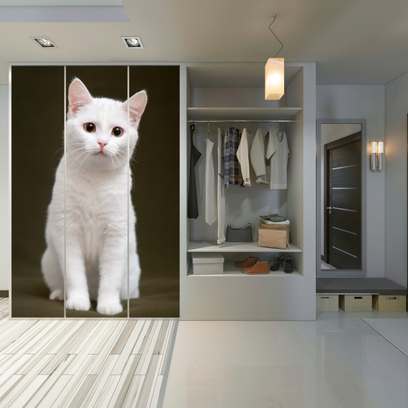 Naklejka na szafę uroczy portret białego kota – Wallissimo® Naklejka na szafę uroczy portret białego kota – Wallissimo®