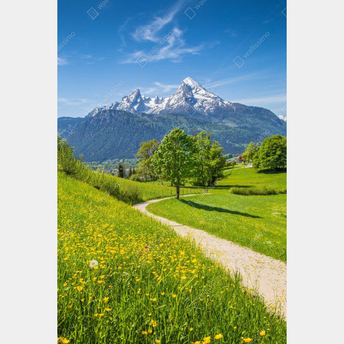 Naklejka na szafę alpejska łąka i górska ścieżka – Wallissimo® Naklejka na szafę alpejska łąka i górska ścieżka – Wallissimo®
