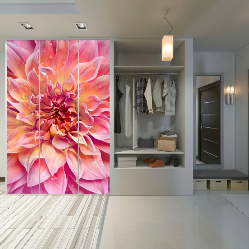 Naklejka na szafę różowa dalia w zbliżeniu – Wallissimo® Naklejka na szafę różowa dalia w zbliżeniu – Wallissimo®