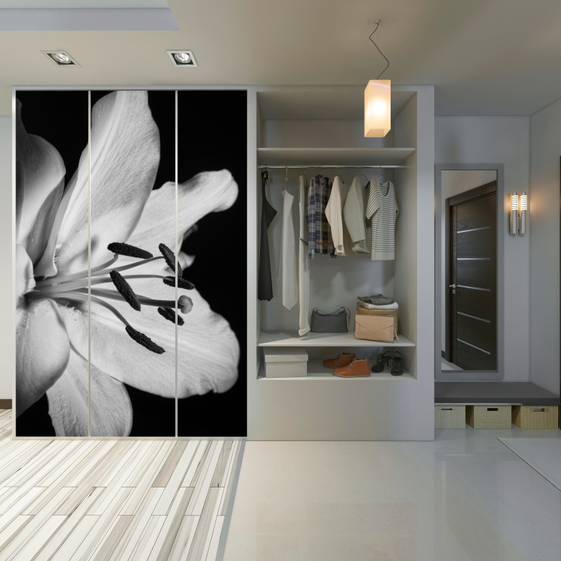 Naklejka na szafę monochromatyczna lilia zbliżenie – Wallissimo® Naklejka na szafę monochromatyczna lilia zbliżenie – Wallissimo®