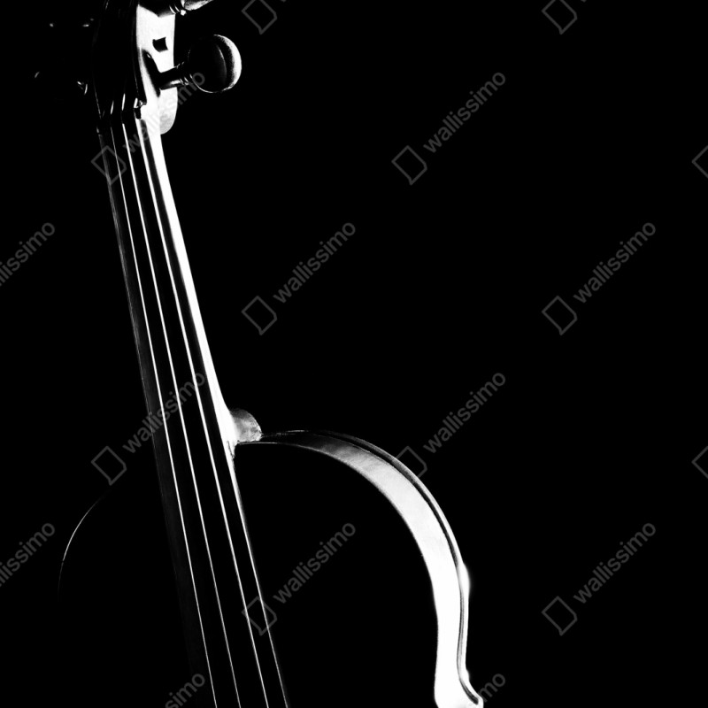 Naklejka na szafę elegancka sylwetka skrzypiec na czarnym tle – Wallissimo® Naklejka na szafę elegancka sylwetka skrzypiec na czarnym tle – Wallissimo®